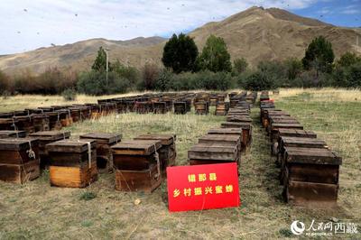 西藏山南:蜜罐里的幸福生活